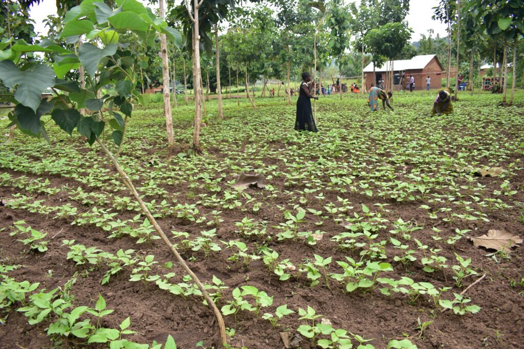 Community-run: Parents tend to the garden attached to Miruta HLC.
